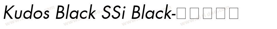 Kudos Black SSi Black字体转换